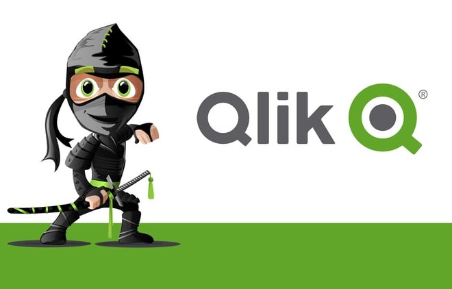I will create qlikview dashboard visualization with best practices
