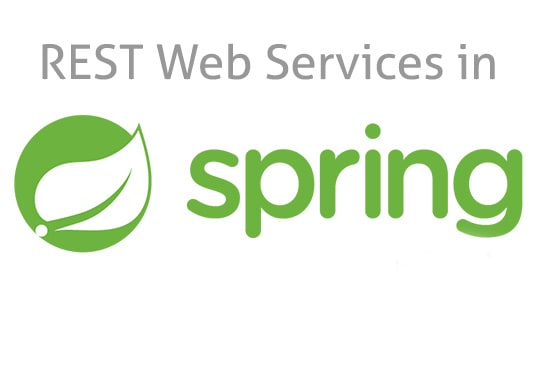 I will create REST Web services in Spring j2ee
