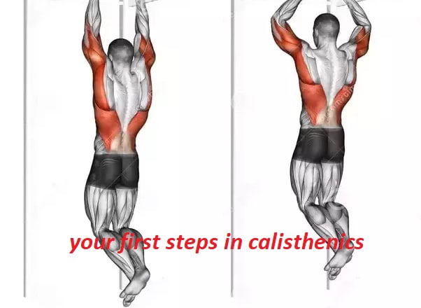 I will create your own calisthenics, bodyweight workout routine