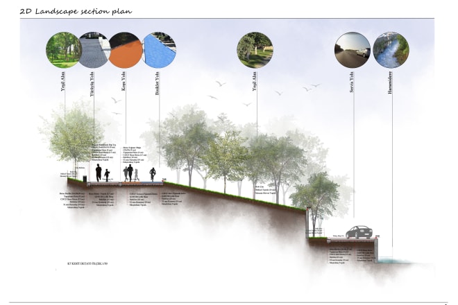 I will create,color 2d lanscape section plans