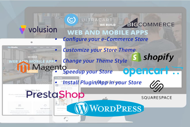 I will customize any theme for your ecommerce store
