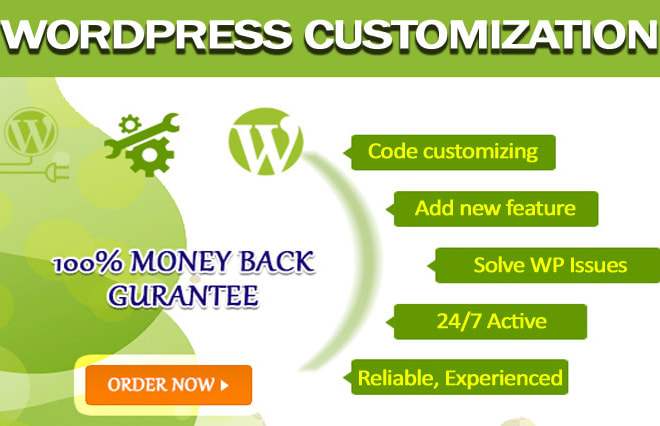 I will customize, fix issues and upgrade wordpress website