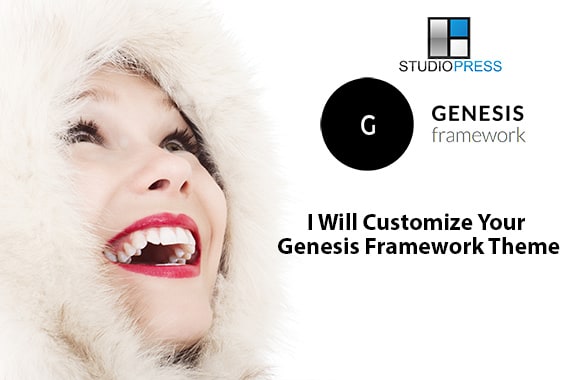 I will customize studiopress genesis framework theme 24 hours