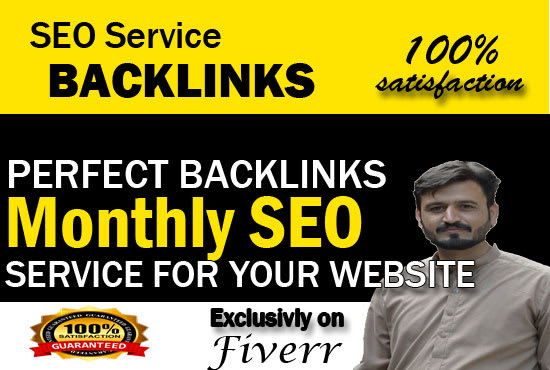 I will deliver monthly SEO service, website for top google ranking
