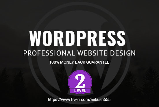 I will design a modern professional wordpress website design