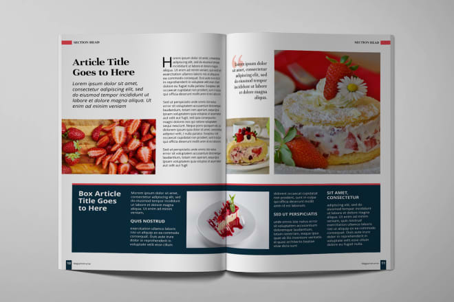 I will design a professional magazine, brochure or book layout