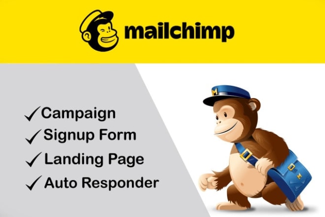 I will design a stunning mailchimp email campaign,send email,email blast