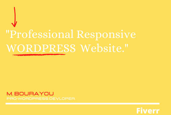 I will design and develop and costum a responsive wordpress website
