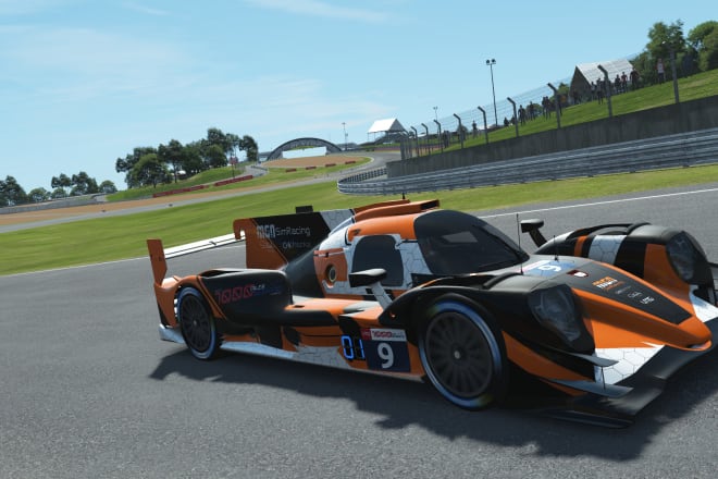 I will design multiple liveries for you or your team