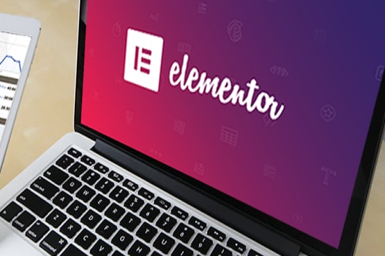 I will design your website using elementor pro page builder