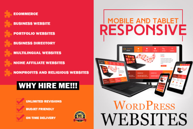 I will develop a professional wordpress website design