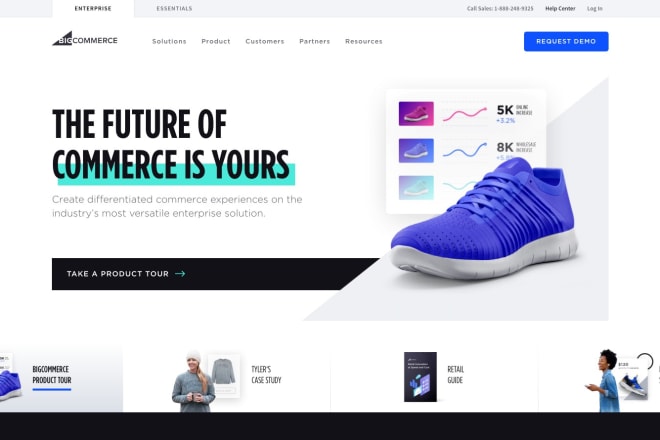 I will develop an ecommerce website for your business