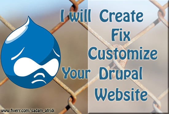 I will develop and customize drupal website, modules and themes