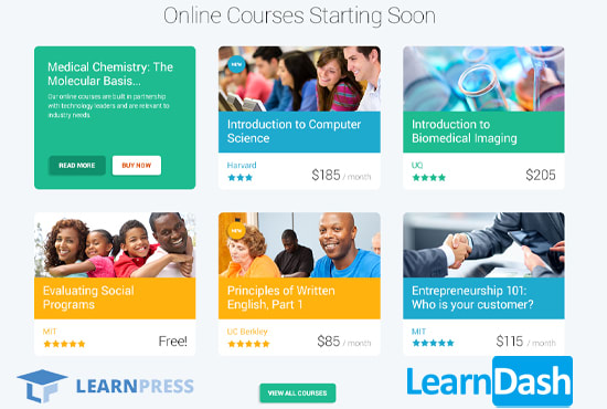 I will develop and customize learndash wordpress lms website or e learning course