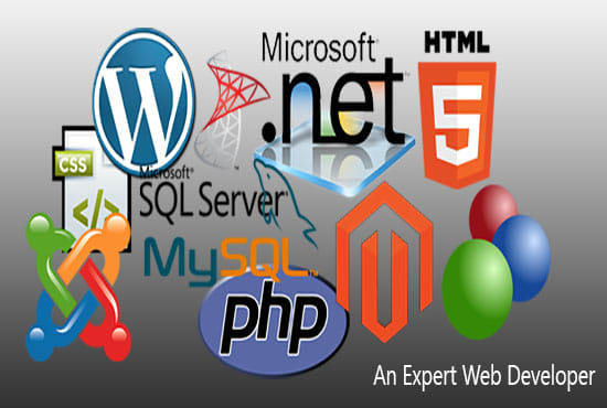 I will develop custom website wordpress, shopify, magento, joomla