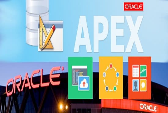 I will develop oracle apex application professionally