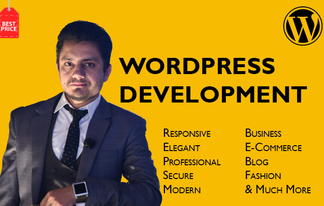 I will develop responsive wordpress website blog or store