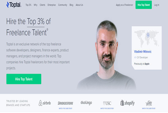 I will develop standout freelancer market place website with standout features