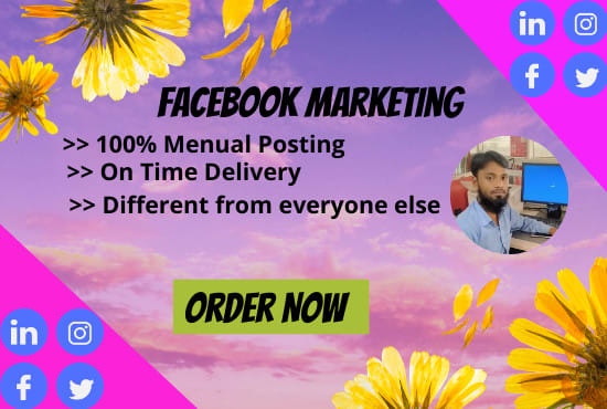I will develop your business by facebook marketing in the USA