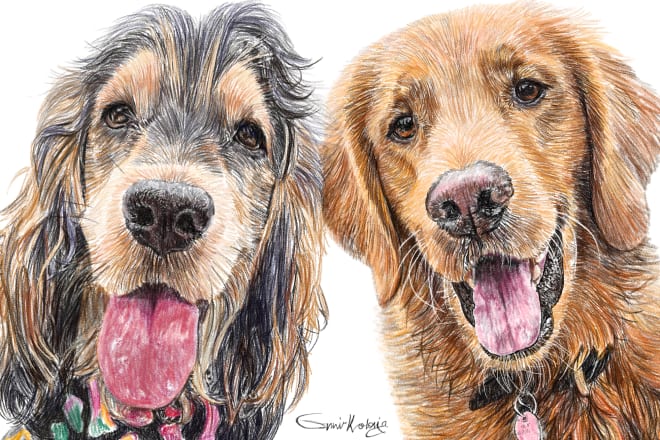 I will do a custom pet portrait color drawing from your photo