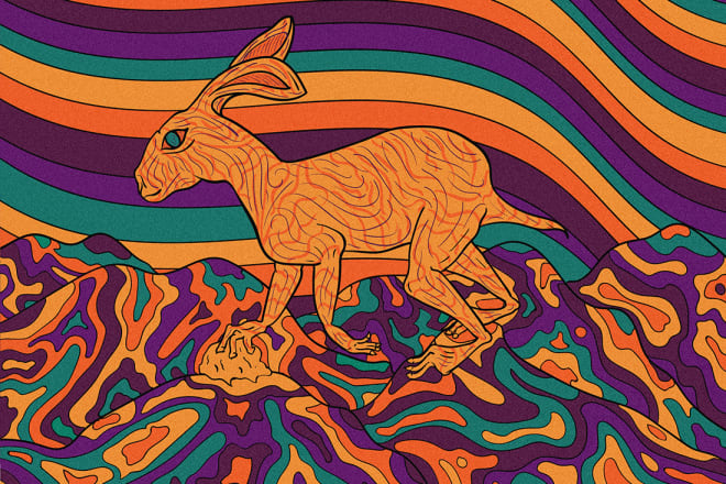 I will do a fantastic psychedelic illustration for you