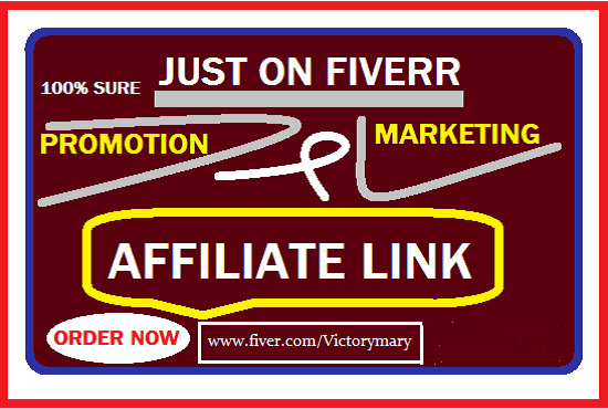 I will do affiliate link promotion teespring,redbubble,digistore,clickbank,shopify USA