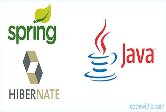 I will do any j2ee,spring mvc with hibernate, restful web project