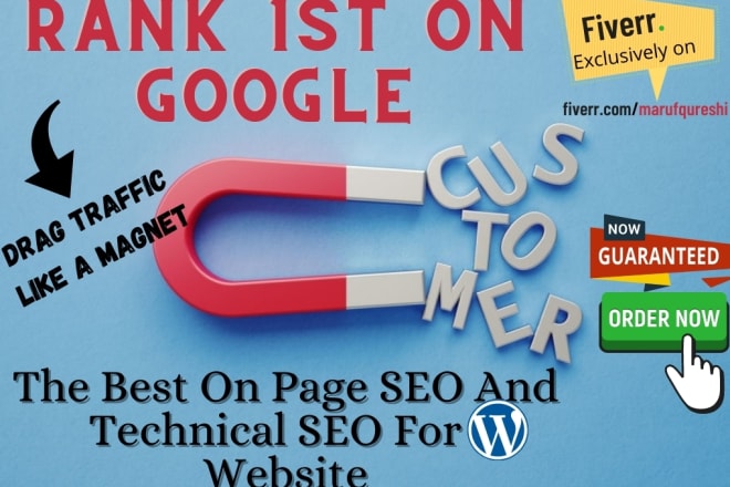 I will do best wordpress on page SEO and technical optimization of your website