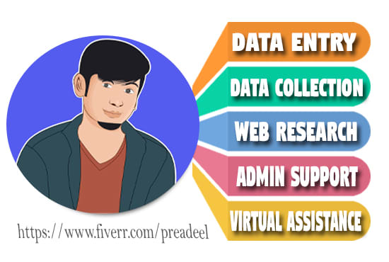 I will do big data entry projects