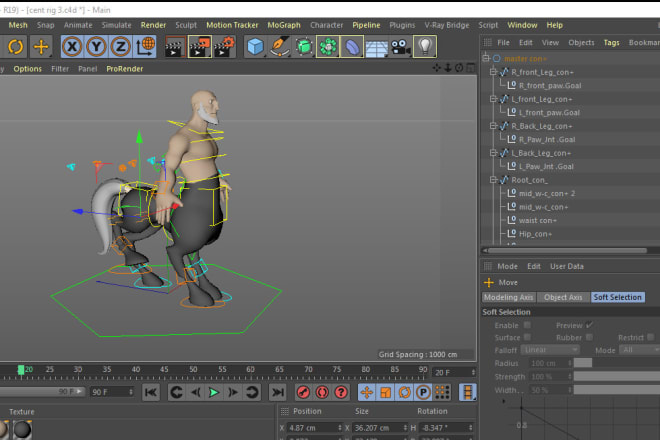I will do character rigging in cinema 4d