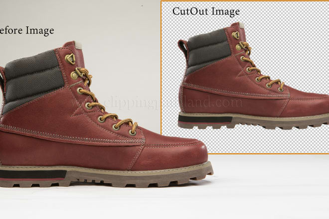 I will do clipping path or cutout by photoshop manually