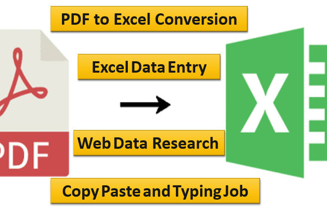 I will do data entry in excel spreadsheet and convert PDF to excel