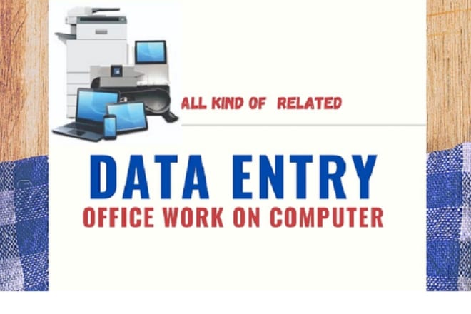 I will do data entry on pc computer