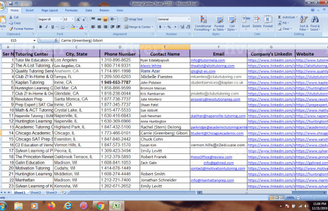 I will do data entry, web research, find business email and contacts