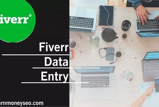 I will do data entry word or excel copy paste online offline typing scraping and mining