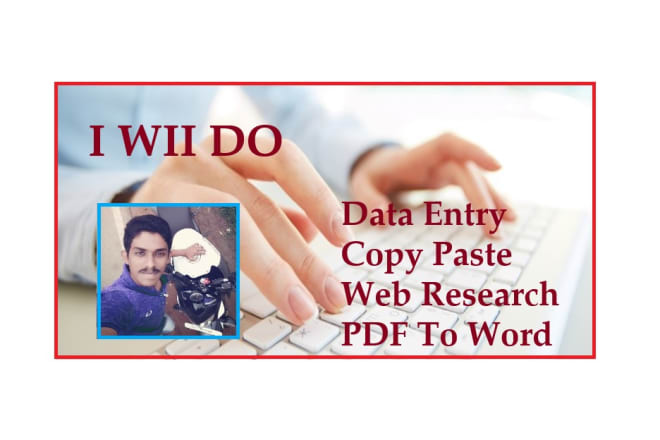 I will do data entry work from home