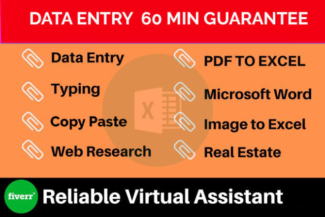I will do data mining, virtual assistant,typist
