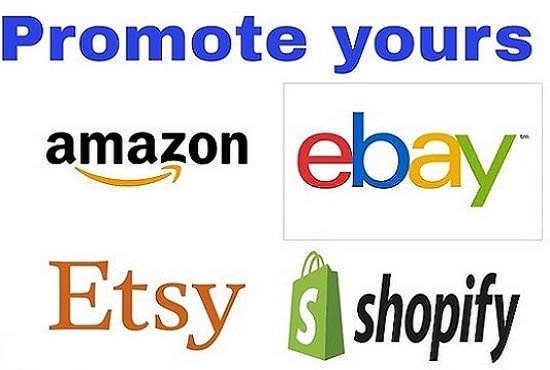 I will do ebay promotion and adver,esty promotion to increase website traffic