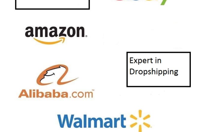 I will do ebay walmart amazon shopify aliexpress dropshipping ecommerce services VA