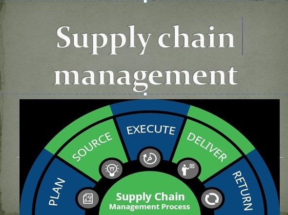 I will do essay writing on supply chain management
