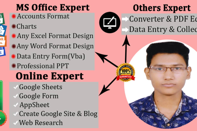 I will do expert any excel format design using online and offline for your company