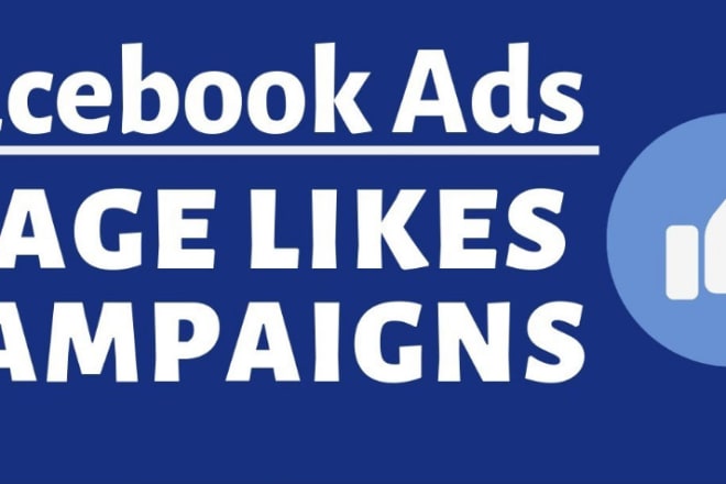 I will do facebook fan page like share comment management ads campaign