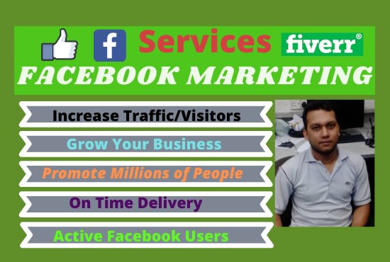 I will do facebook marketing and develop your business