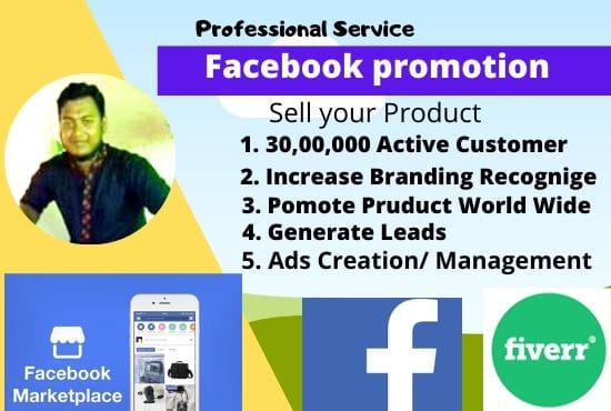 I will do facebook marketing business page USA