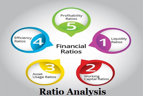 I will do financial analysis, project report, ratio analysis, investment appraisal