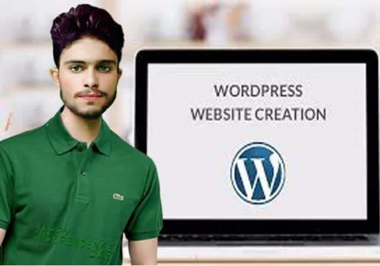 I will do full website creation professhionaly, create wordpress website, online course