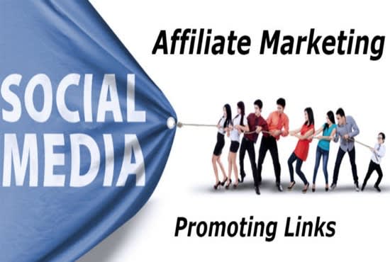 I will do highly effective affiliate link promotion