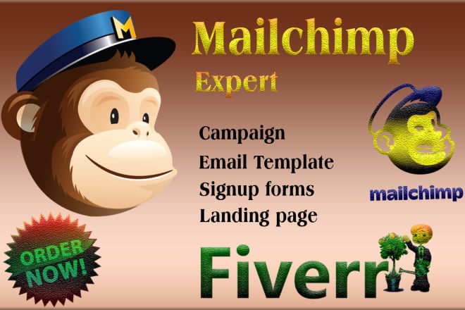 I will do mailchimp email campaign