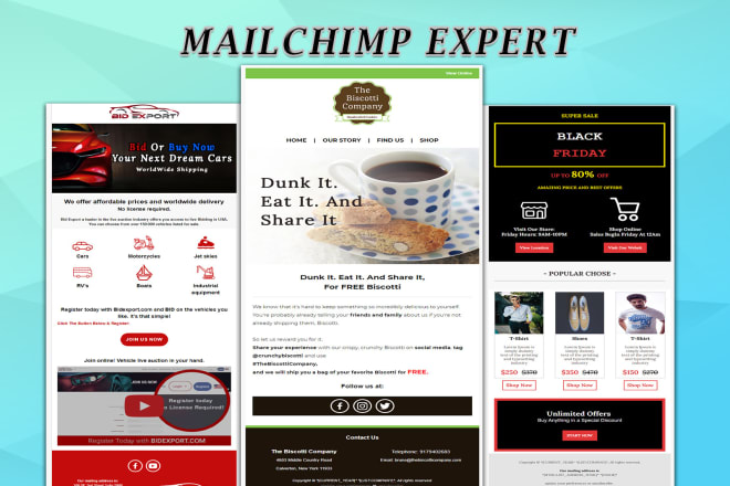 I will do mailchimp email template, mailchimp email campaign, newsletter