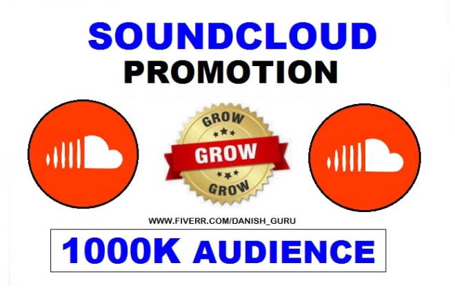 I will do organic soundcloud promotion for all genre